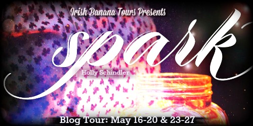 Holly Schindler Guest Post | Spark Blog Tour (+ Giveaway)